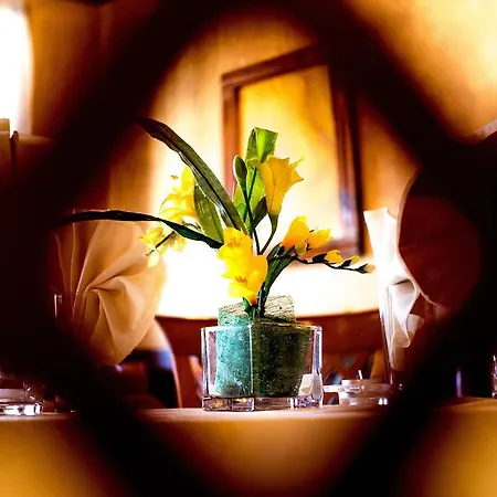 Hotel Family Elegance 2*