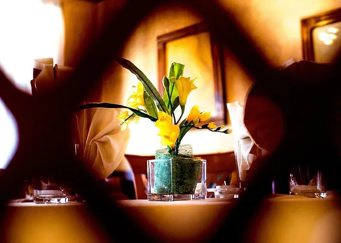 Hotel Family Elegance 2*